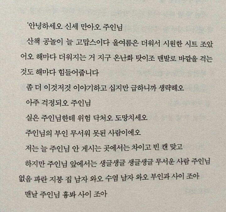 온다 이미지