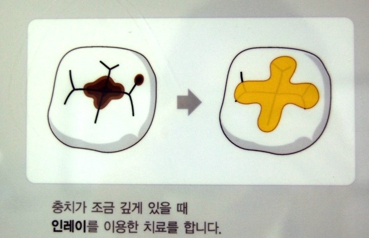 와온치과 이미지