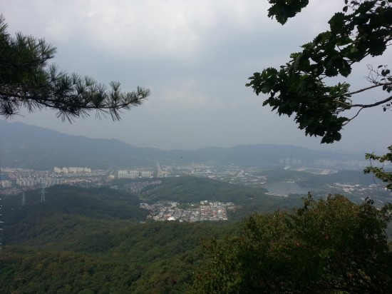 과천소망교회 이미지
