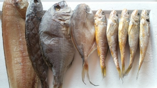 (주)해풍수산 이미지
