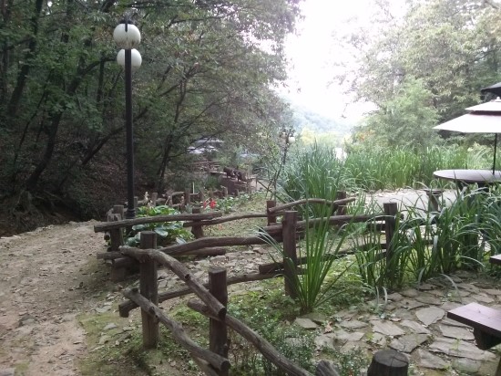 더로고스 이미지