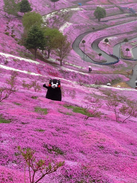 핑크덕후 이미지