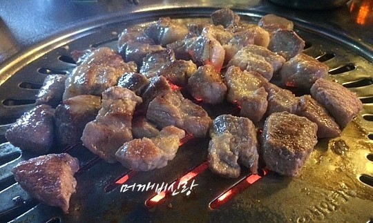 꽃돼지바람났네 이미지