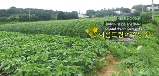 아름드림 이미지
