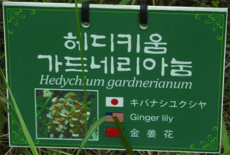 한림꽃농원 이미지