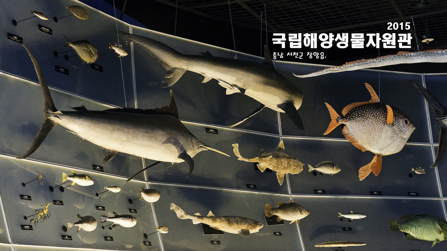 서천해양캠핑장 이미지