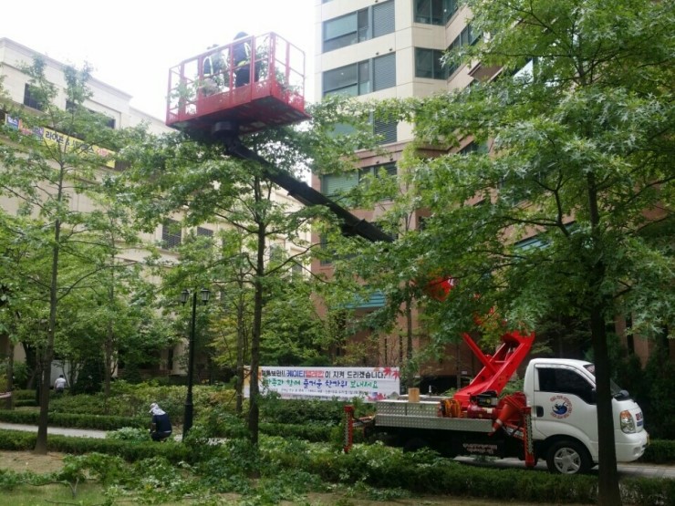 비타크린간판 이미지