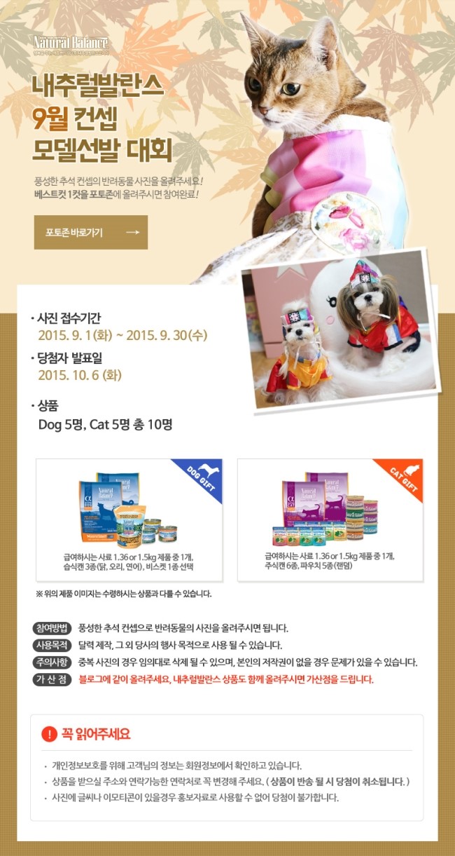 발란스9 이미지