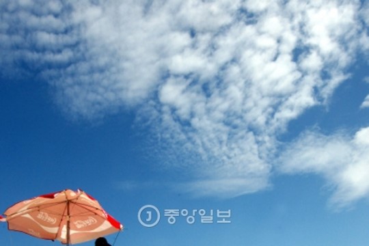 파란테크 이미지