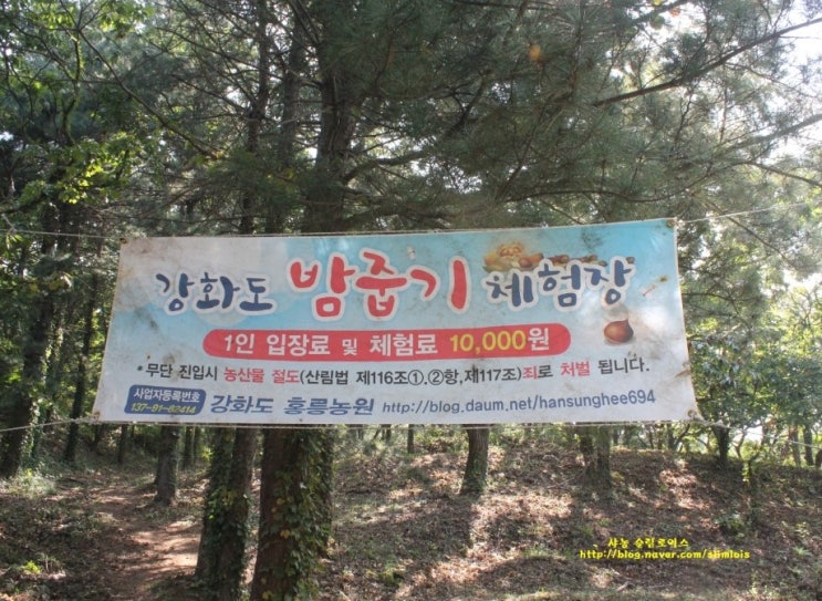 강화도황금농원 이미지