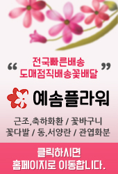 금성장례식장 이미지