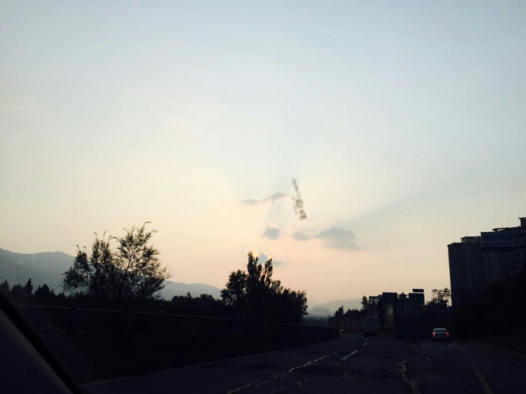 메르치 이미지