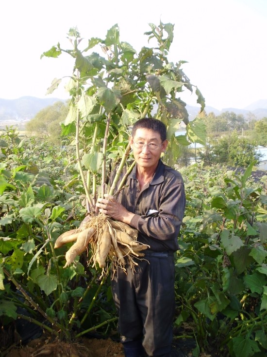웰빙농원 이미지