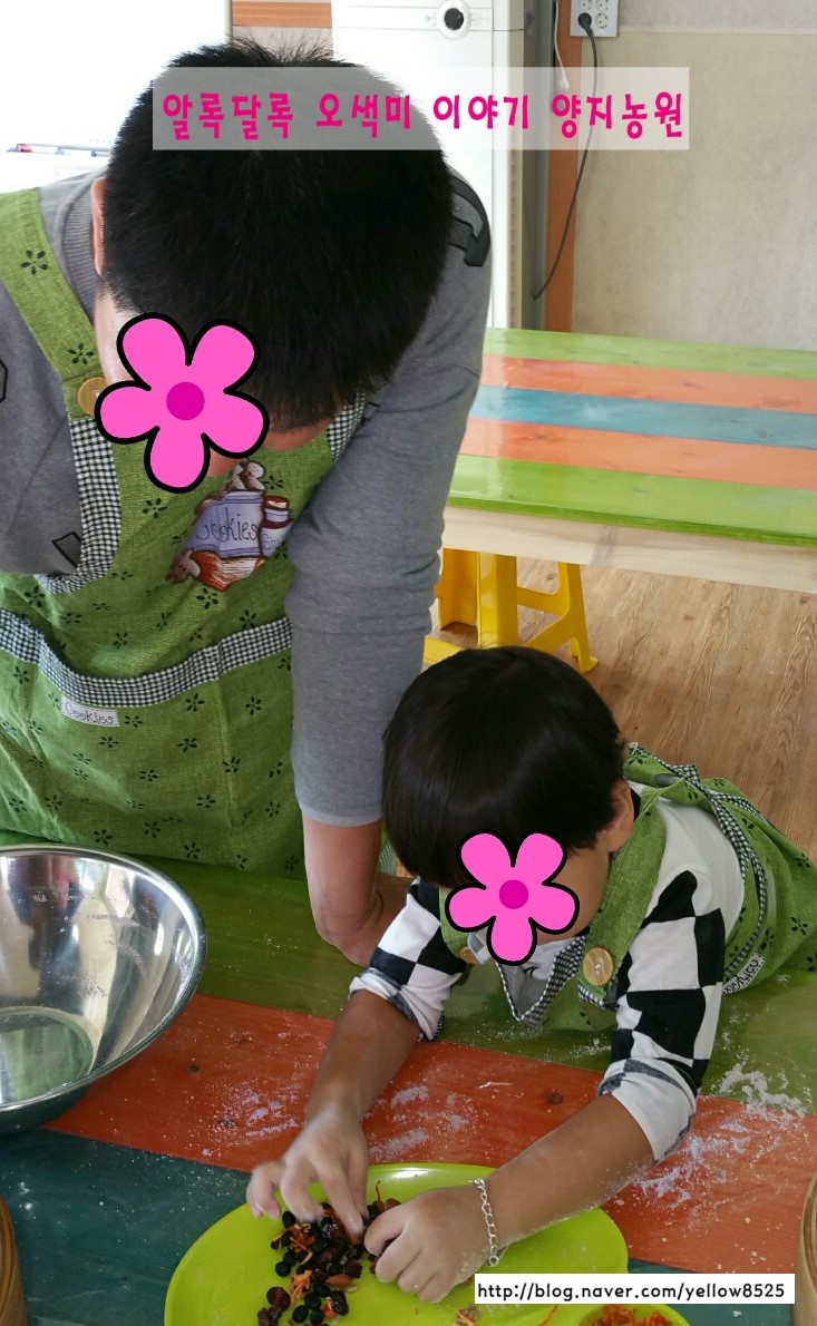 성재농원 이미지