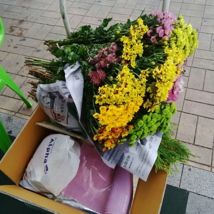 플라워앤가든인피플 이미지