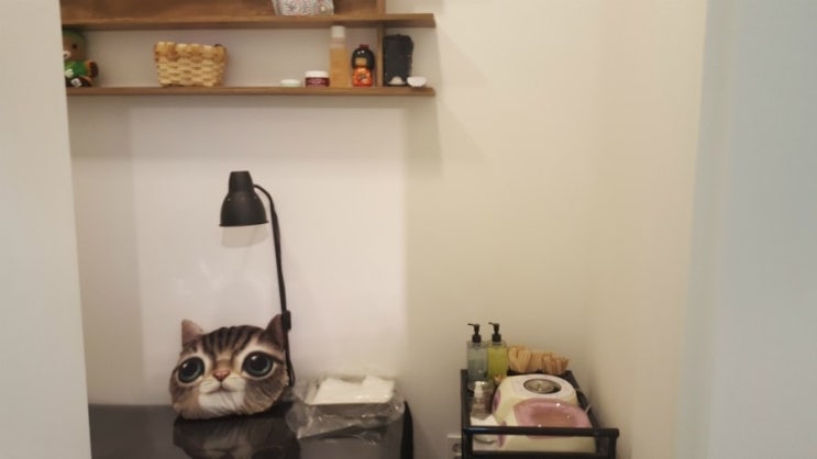 라니네일 이미지