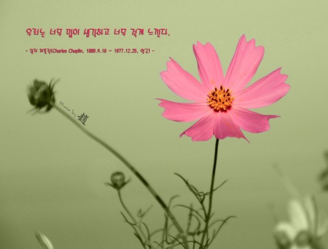 간식먹고가 이미지