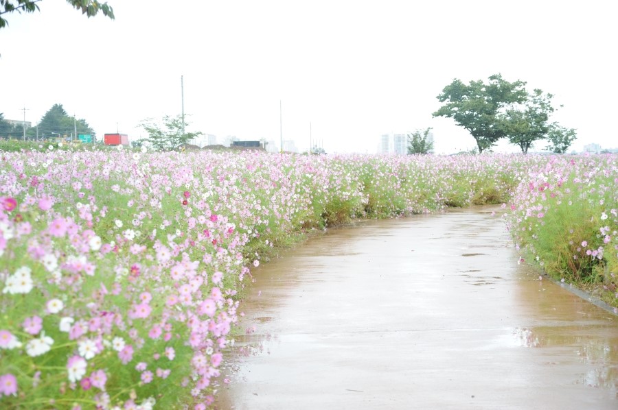 호산대학교 이미지