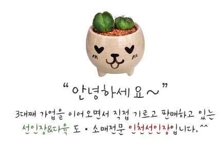 관용인테리어 이미지