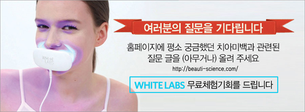 이웃랩스 이미지