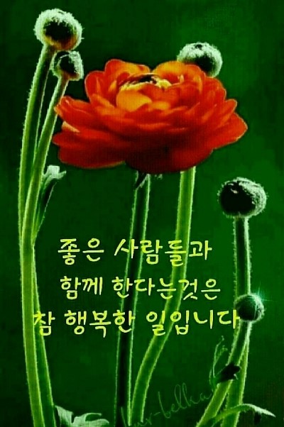 수연다육 이미지