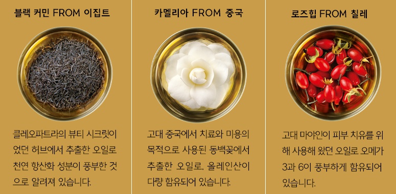 라이프바디샵 이미지