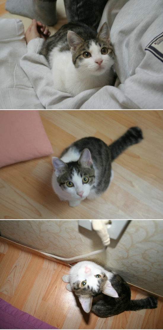 주디 이미지