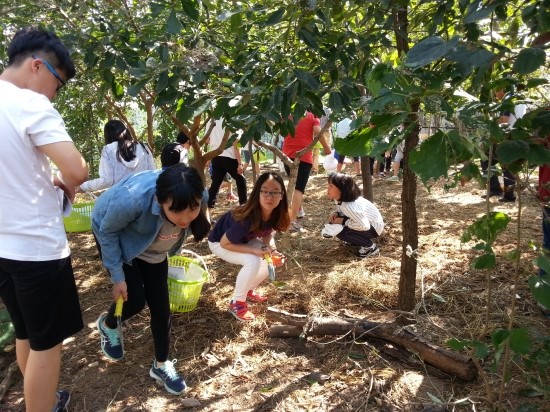 시량초등학교 이미지