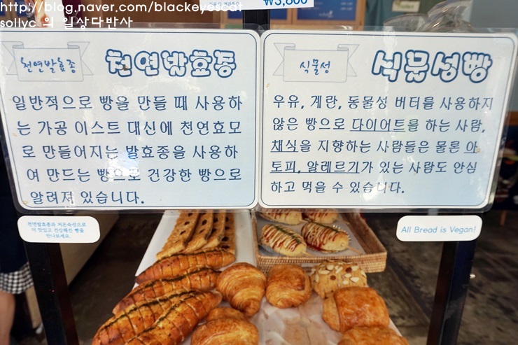 박선정 헤어 이미지