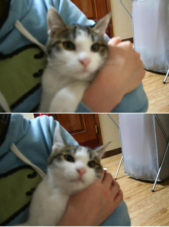 주디 이미지