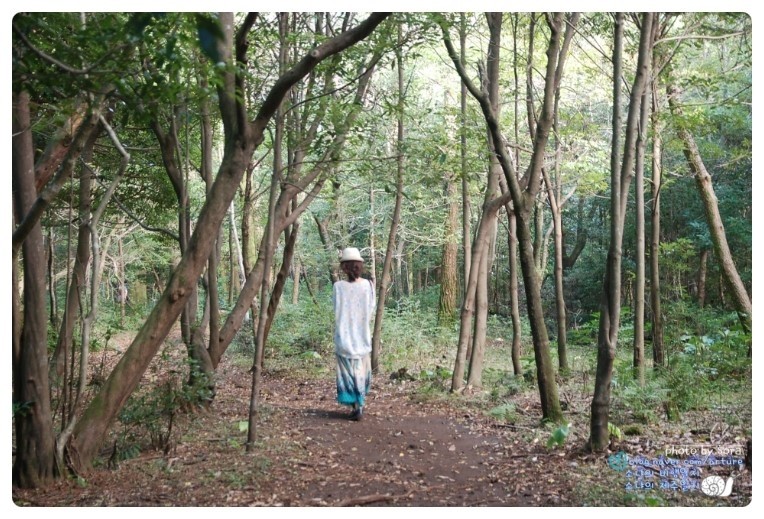 사려니숲길쉐어하우스 이미지