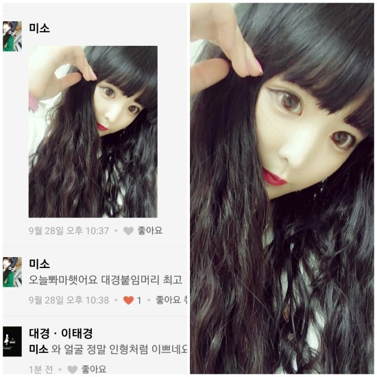 대경붙임머리 이미지
