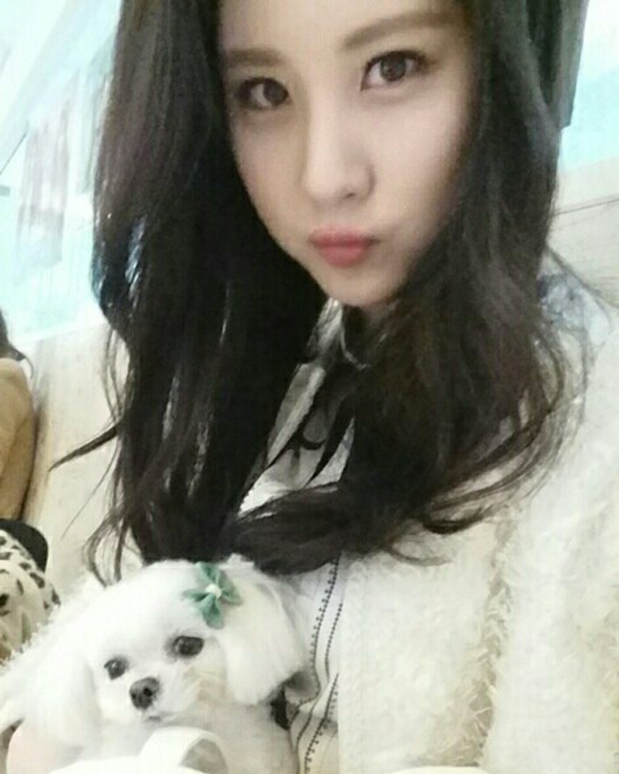 두부나라 이미지