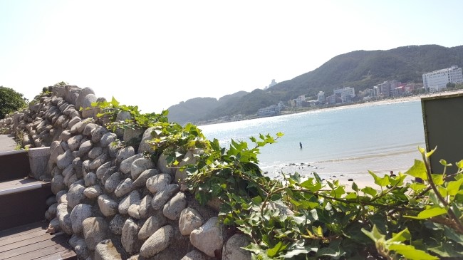 늘:송정 이미지