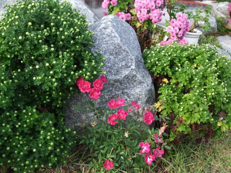 강천산아리울 이미지