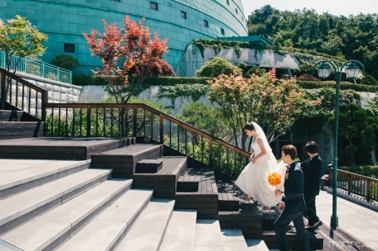 마르뜨포토그래피 이미지
