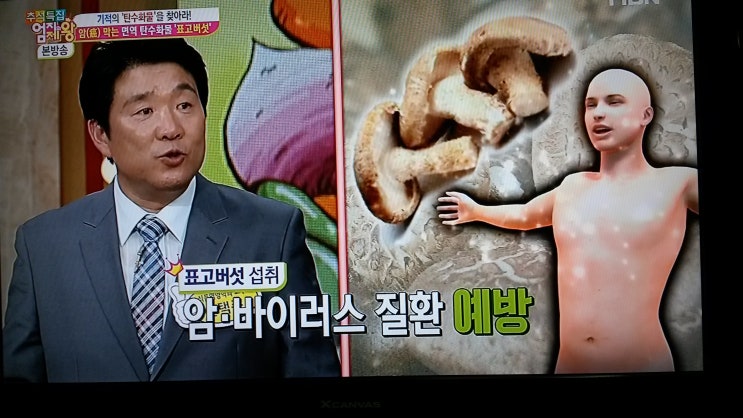 버섯과면역 이미지