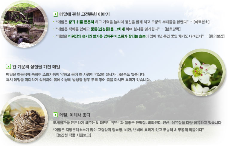 봉평영농조합법인 이미지