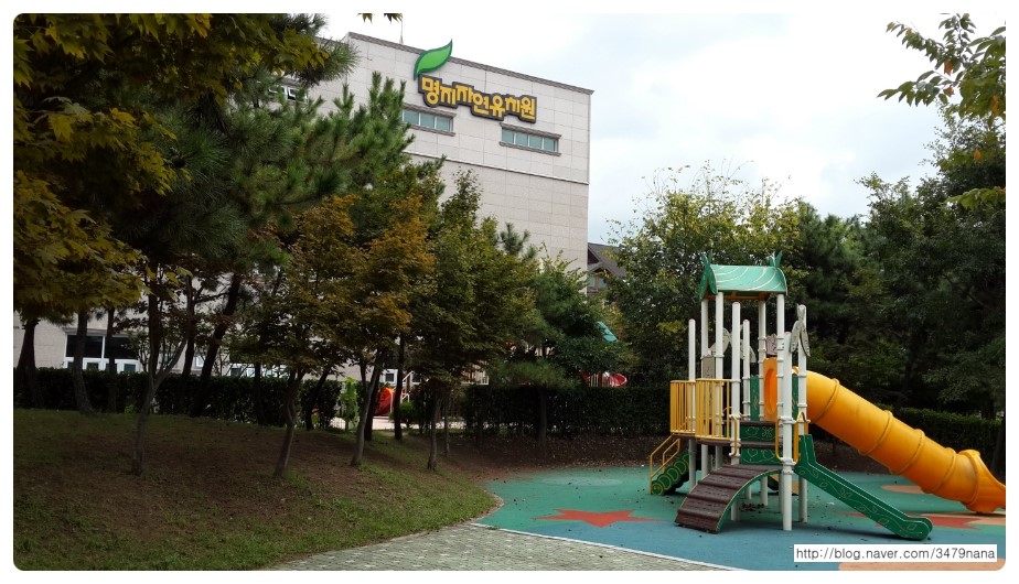 보광유치원 이미지