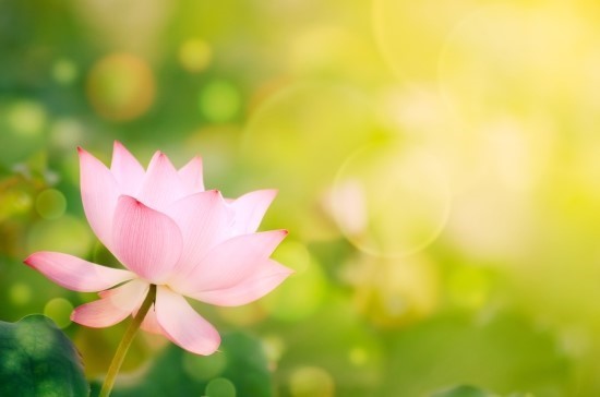 경희동의보감한의원 이미지