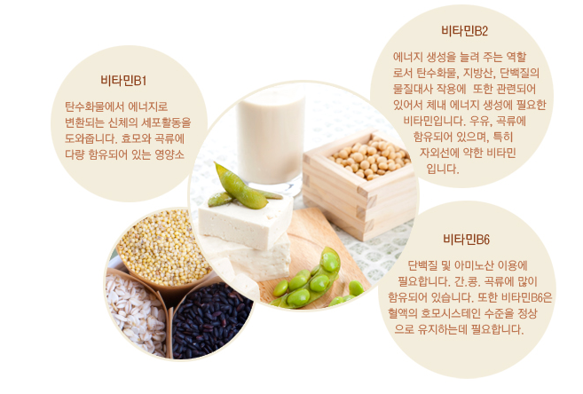 신진에스피 이미지