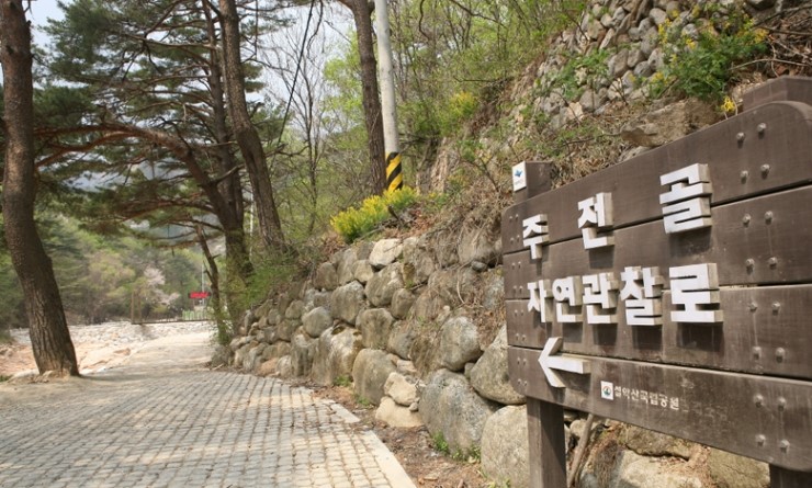 탁장사 이미지