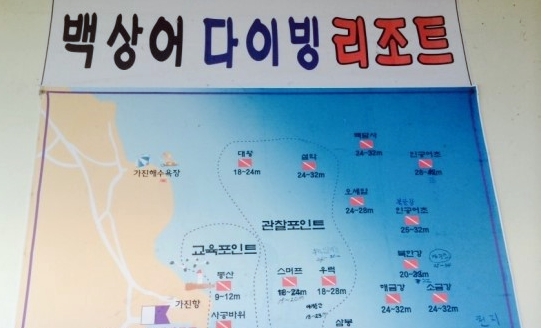 백상어다이빙 리조트 이미지