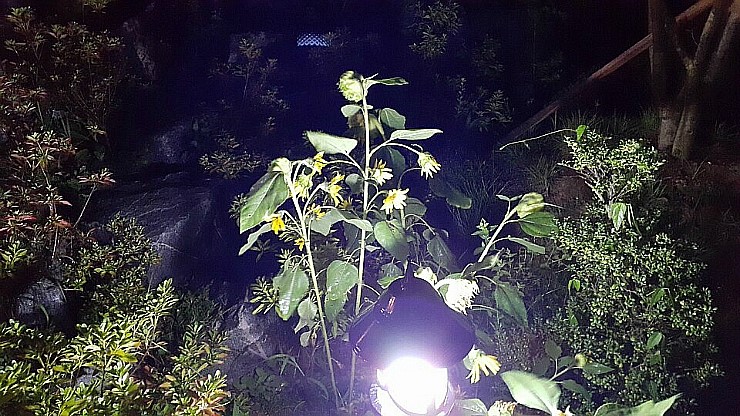 한재골카페드림 이미지