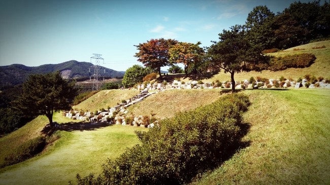 강산환경 이미지