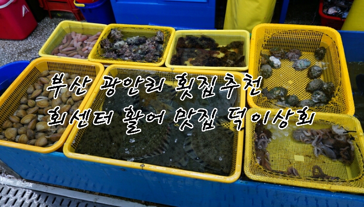 덕이상회 이미지
