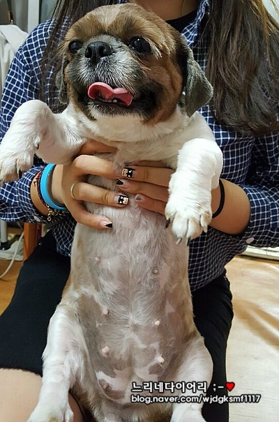 오복의류 이미지