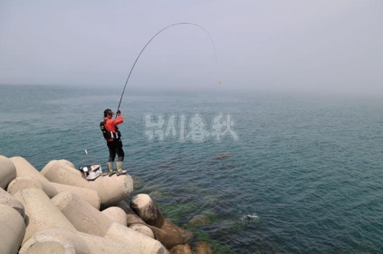 사천대물낚시 이미지