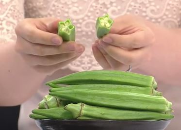 아삽야콘농원 이미지
