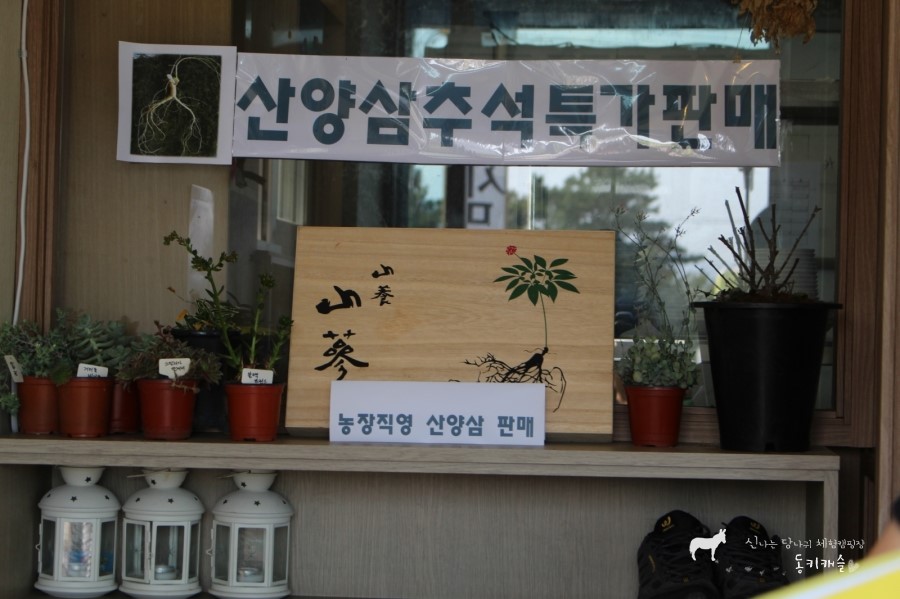 팔당산삼수목원 이미지